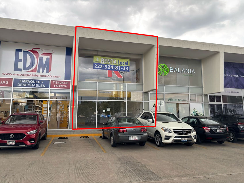 Bosques de Zavaleta - Local 15
