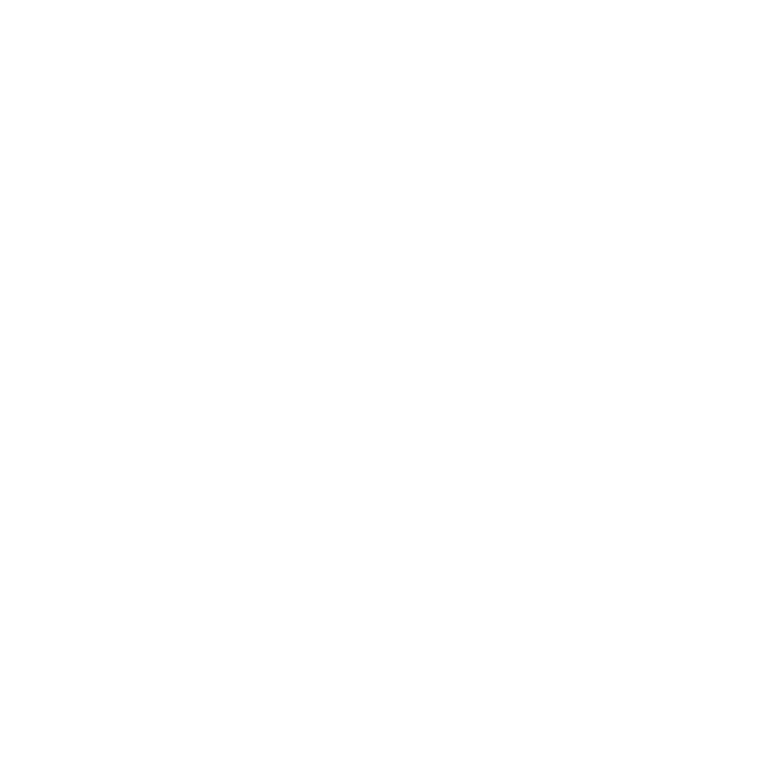 Espinosa Inmobiliaria en Puebla logo transp blan